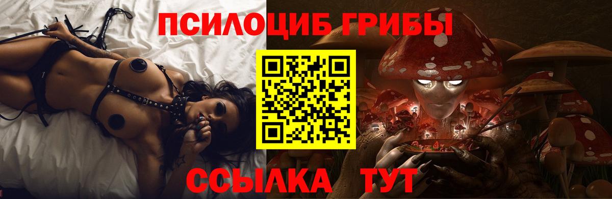 Галлюциногенные грибы GOLDEN TEACHER Гусев